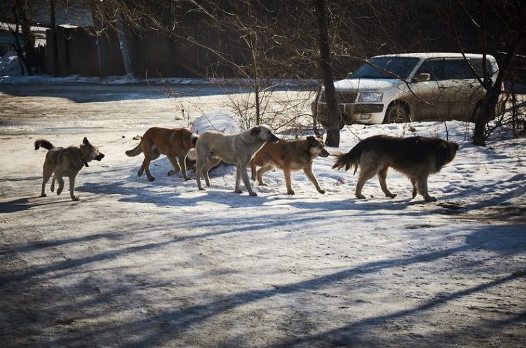 post-32716 thumbnail