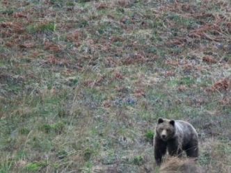 post-17724 thumbnail