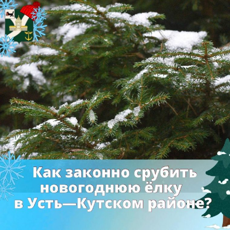 post-18792 thumbnail