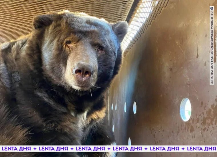 post-21039 thumbnail