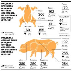 post-20957 thumbnail