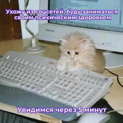 post-22413 thumbnail