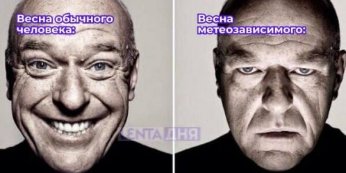 post-21882 thumbnail