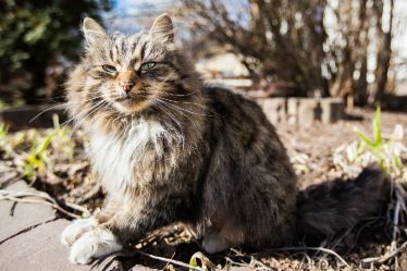 post-21760 thumbnail