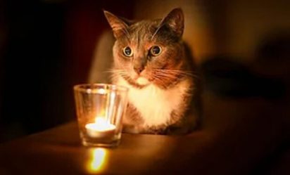 post-32242 thumbnail