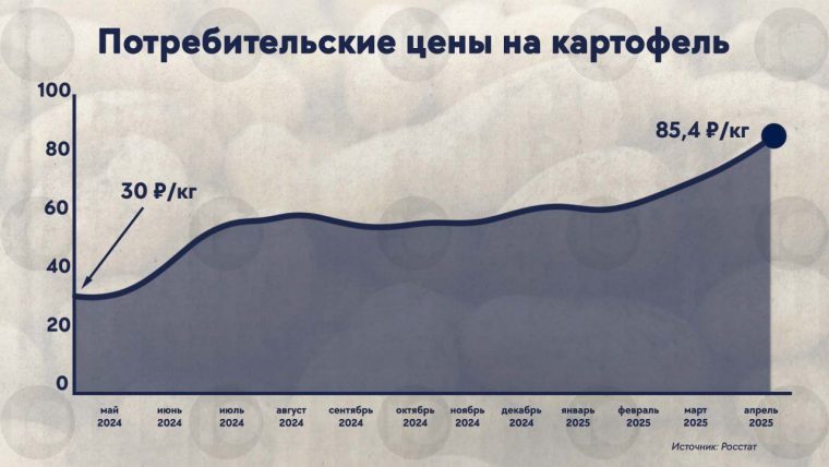 post-25360 thumbnail