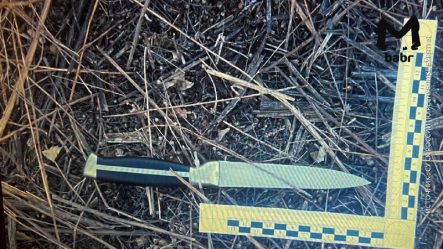 post-24944 thumbnail