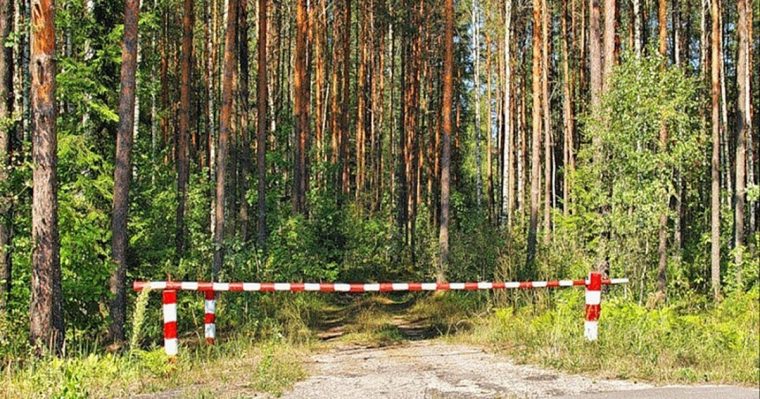 post-25390 thumbnail