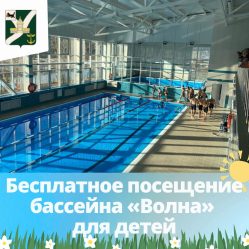 post-27936 thumbnail