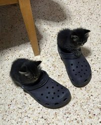 post-27619 thumbnail