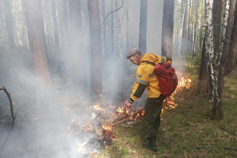 post-29360 thumbnail