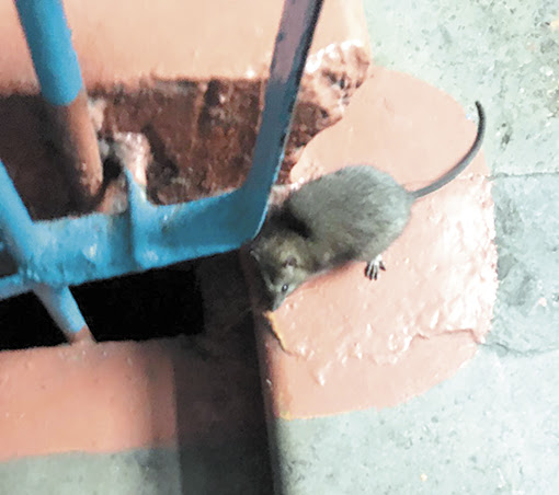 post-30996 thumbnail