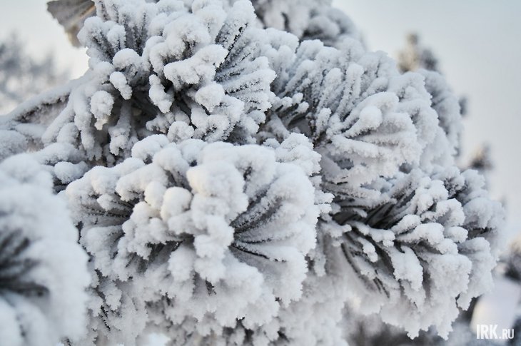 post-32692 thumbnail